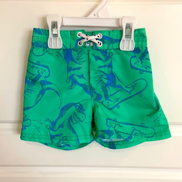Dinosaur Swim Shorts - Picture 1 of 2